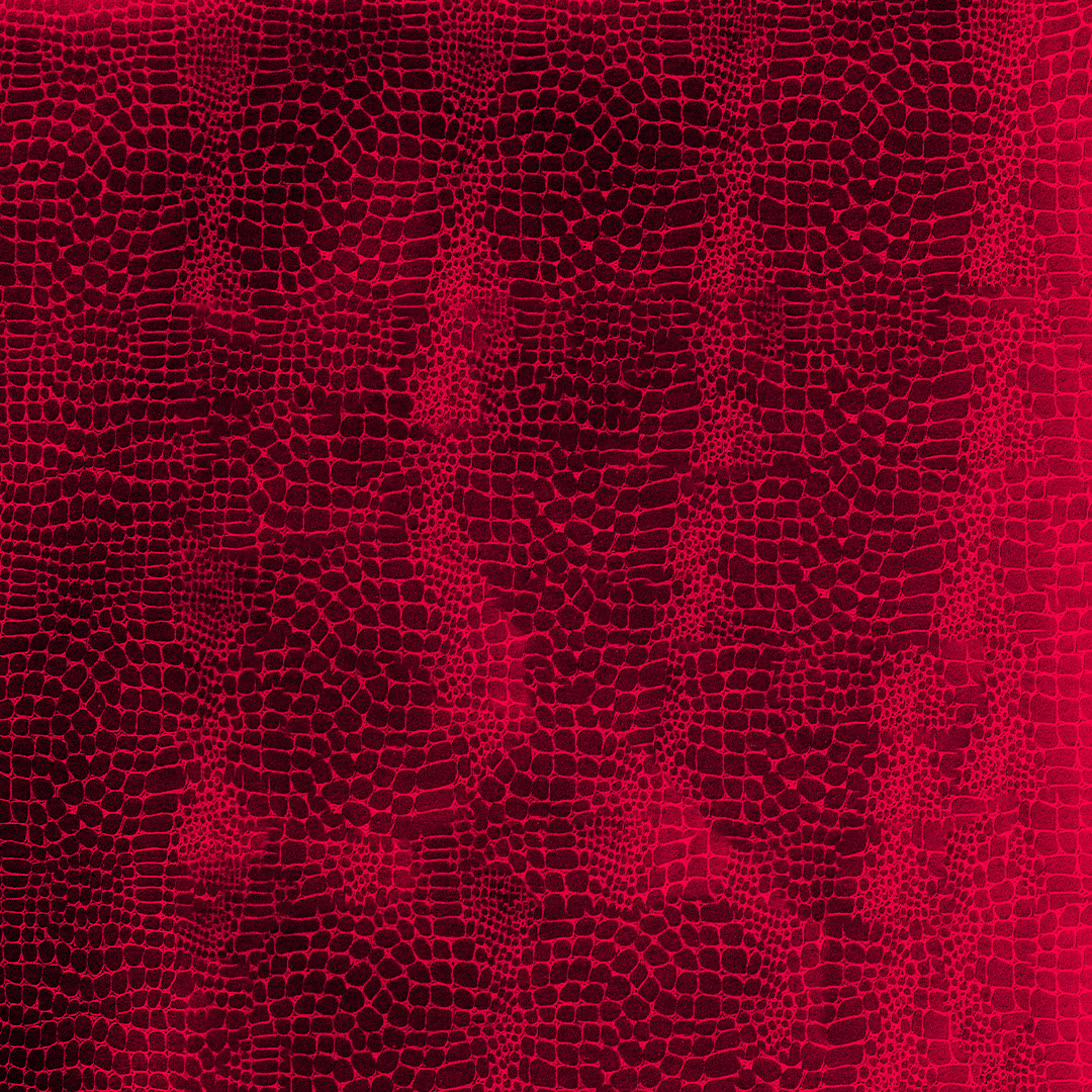 Prägepapier Croco Red 787 x 500 mm