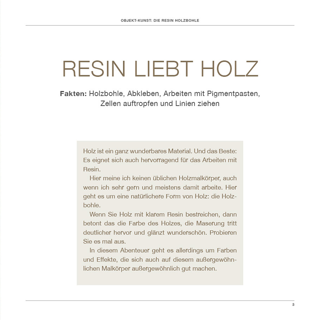 Resin Kunst - Das Handbuch (Lieferung versandkostenfrei)