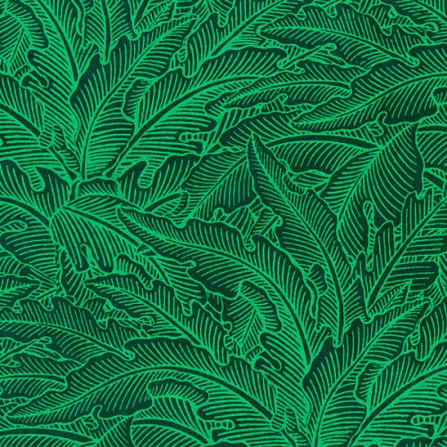 Paper Verdure Moyen Electrique