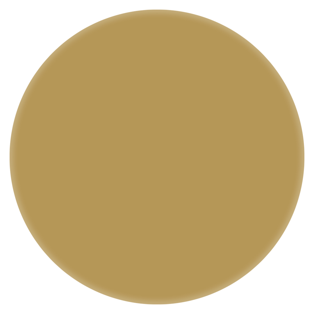 Montana MARBLE Effekt Spray Gold 400 ml